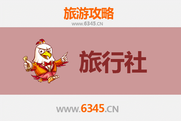 丽水遂昌本地旅行社推荐：深度探索浙南秘境的完美指南