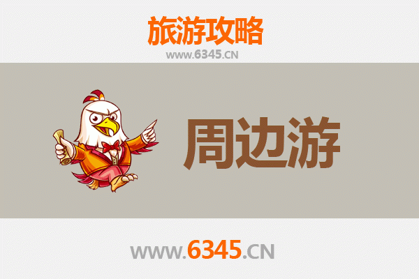 丽水遂昌周边游全攻略：山水秘境与人文古韵的深度体验